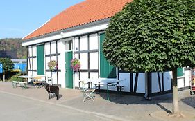 Grüner Blick